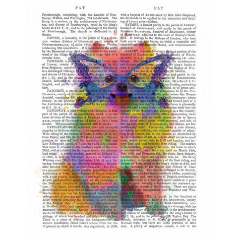 Rainbow Splash Pomeranian Black Modern Wood Framed Art Print with Double Matting by Fab Funky