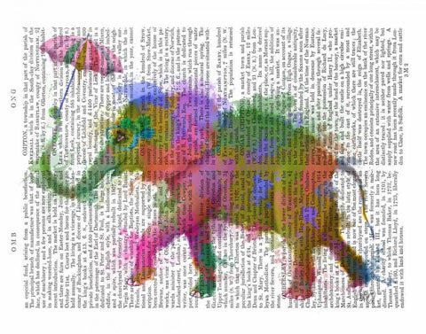 Rainbow Splash Elephant Black Ornate Wood Framed Art Print with Double Matting by Fab Funky