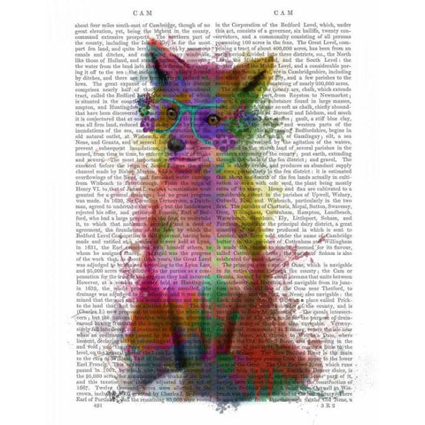 Rainbow Splash Fox 1 Black Modern Wood Framed Art Print with Double Matting by Fab Funky