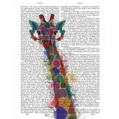 Rainbow Splash Giraffe 1 Black Modern Wood Framed Art Print with Double Matting by Fab Funky