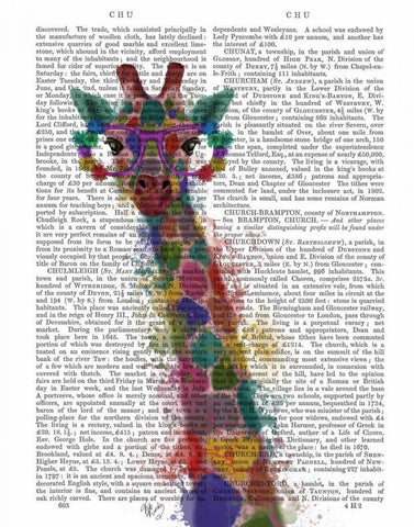 Rainbow Splash Giraffe 1 Black Ornate Wood Framed Art Print with Double Matting by Fab Funky