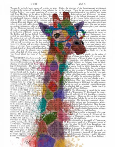 Rainbow Splash Giraffe 2 White Modern Wood Framed Art Print with Double Matting by Fab Funky