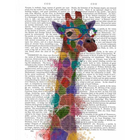 Rainbow Splash Giraffe 2 Black Modern Wood Framed Art Print with Double Matting by Fab Funky