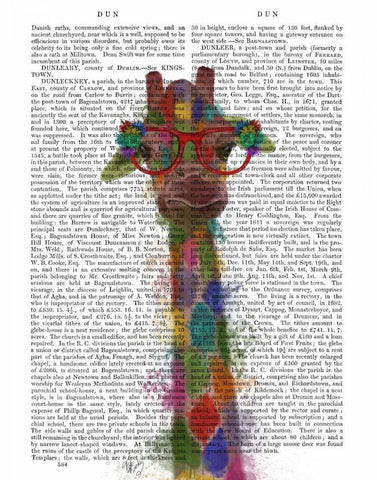 Rainbow Splash Giraffe 3 Black Ornate Wood Framed Art Print with Double Matting by Fab Funky