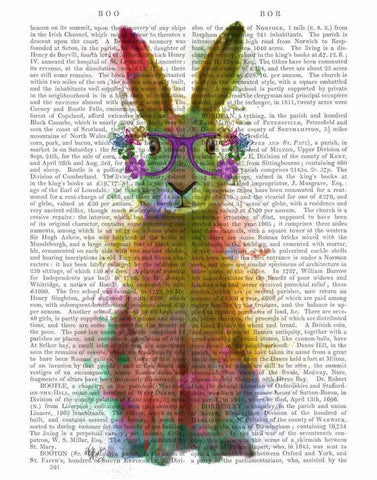 Rainbow Splash Rabbit 1 Black Ornate Wood Framed Art Print with Double Matting by Fab Funky