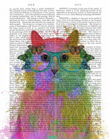 Rainbow Splash Cat 3, Portrait Black Ornate Wood Framed Art Print with Double Matting by Fab Funky