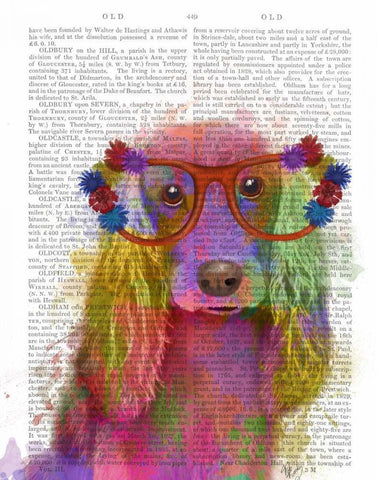 Rainbow Splash Cocker Spaniel, Portrait Black Ornate Wood Framed Art Print with Double Matting by Fab Funky