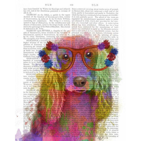 Rainbow Splash Cocker Spaniel, Portrait White Modern Wood Framed Art Print by Fab Funky