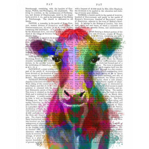 Rainbow Splash Cow Black Modern Wood Framed Art Print with Double Matting by Fab Funky