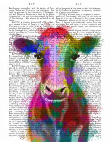 Rainbow Splash Cow Black Ornate Wood Framed Art Print with Double Matting by Fab Funky