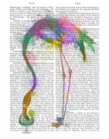 Rainbow Splash Flamingo 3 White Modern Wood Framed Art Print with Double Matting by Fab Funky