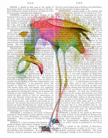 Rainbow Splash Flamingo 4 Black Ornate Wood Framed Art Print with Double Matting by Fab Funky