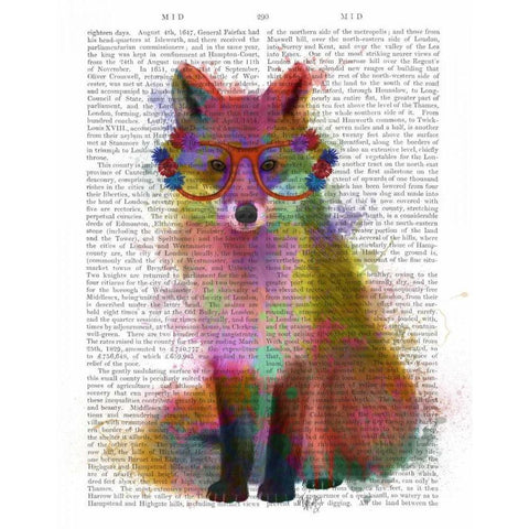 Rainbow Splash Fox 2 Black Modern Wood Framed Art Print with Double Matting by Fab Funky