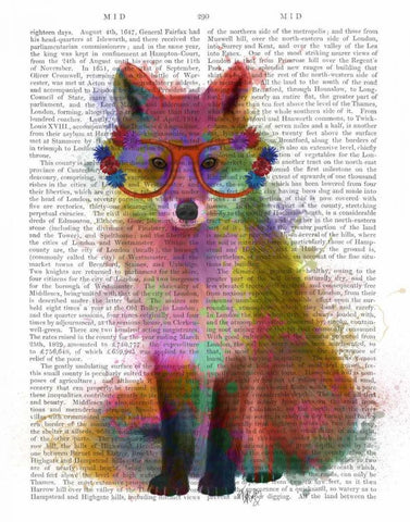 Rainbow Splash Fox 2 Black Ornate Wood Framed Art Print with Double Matting by Fab Funky