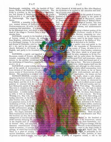 Rainbow Splash Rabbit 2, Full Black Ornate Wood Framed Art Print with Double Matting by Fab Funky