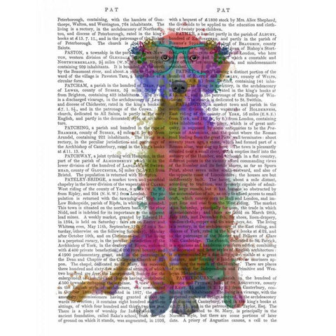 Rainbow Splash Weimaraner, Full Black Modern Wood Framed Art Print with Double Matting by Fab Funky