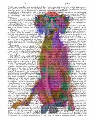 Rainbow Splash Weimaraner, Full White Modern Wood Framed Art Print with Double Matting by Fab Funky