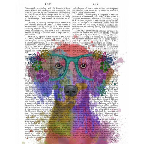 Rainbow Splash Weimaraner, Portrait White Modern Wood Framed Art Print by Fab Funky