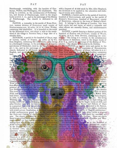 Rainbow Splash Weimaraner, Portrait White Modern Wood Framed Art Print with Double Matting by Fab Funky