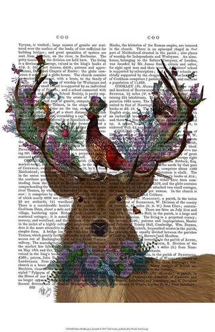 Deer Birdkeeper, Scotish White Modern Wood Framed Art Print with Double Matting by Fab Funky