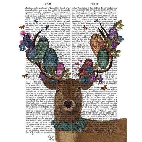 Deer Birdkeeper, Owls Black Modern Wood Framed Art Print with Double Matting by Fab Funky