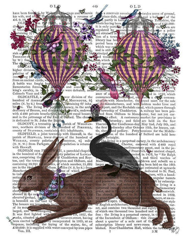 Hare Birdkeeper, Hot Air Balloon Black Ornate Wood Framed Art Print with Double Matting by Fab Funky