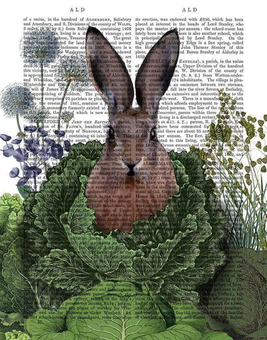 Cabbage Patch Rabbit 1 White Modern Wood Framed Art Print with Double Matting by Fab Funky