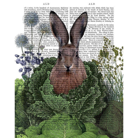 Cabbage Patch Rabbit 1 Black Modern Wood Framed Art Print with Double Matting by Fab Funky