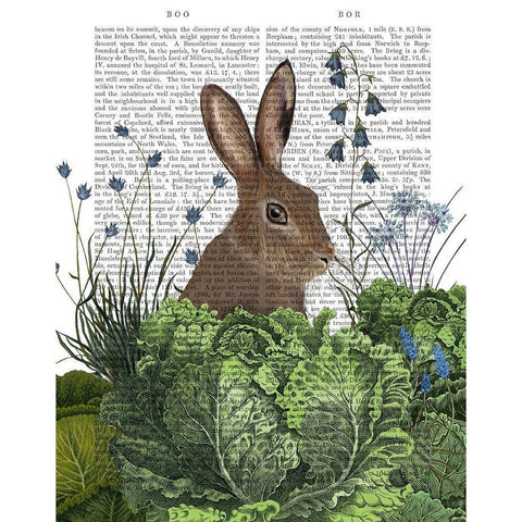 Cabbage Patch Rabbit 2 Black Modern Wood Framed Art Print with Double Matting by Fab Funky