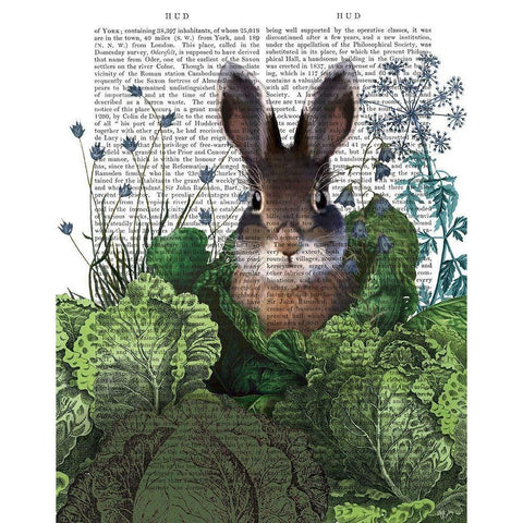 Cabbage Patch Rabbit 4 Black Modern Wood Framed Art Print with Double Matting by Fab Funky