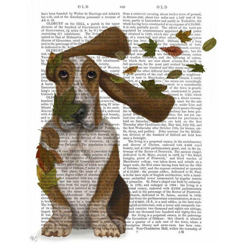 Basset Hound Windswept and Interesting Black Modern Wood Framed Art Print with Double Matting by Fab Funky