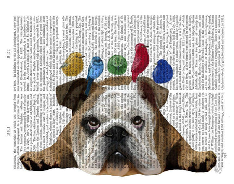 English Bulldog and Birds White Modern Wood Framed Art Print with Double Matting by Fab Funky