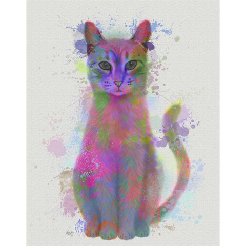 Cat Rainbow Splash 4 Black Modern Wood Framed Art Print with Double Matting by Fab Funky