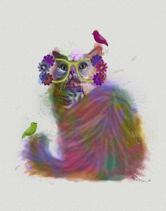 Image Only