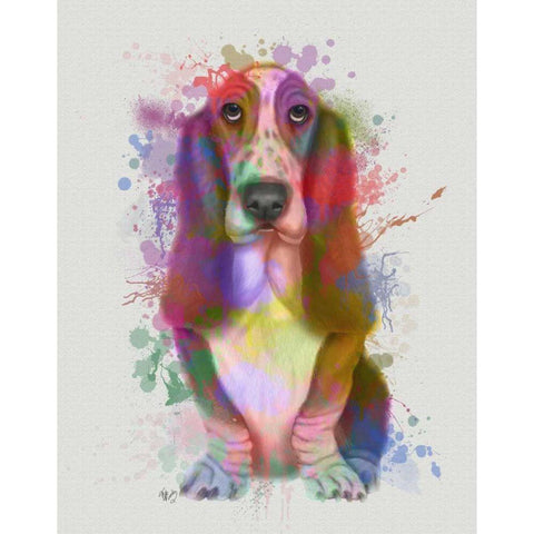 Basset Hound Rainbow Splash Black Modern Wood Framed Art Print with Double Matting by Fab Funky