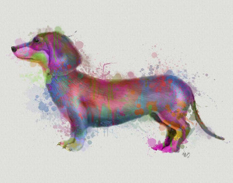 Dachshund Rainbow Splash 1 Black Ornate Wood Framed Art Print with Double Matting by Fab Funky