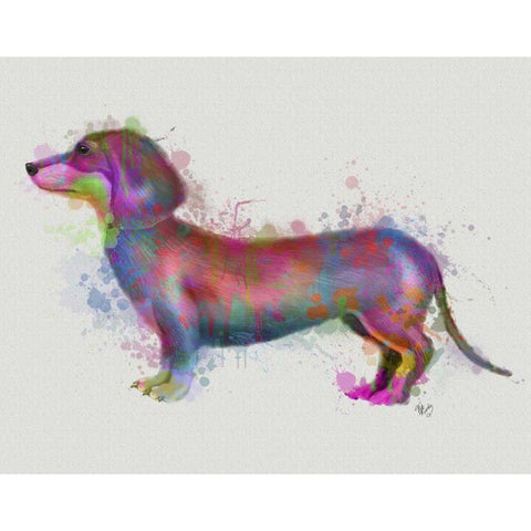 Dachshund Rainbow Splash 1 Gold Ornate Wood Framed Art Print with Double Matting by Fab Funky