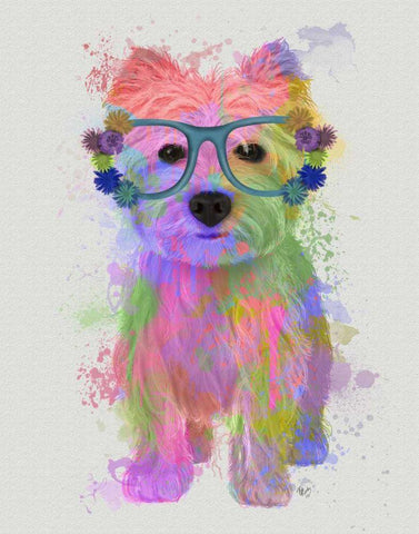 West Highland Terrier Rainbow Splash White Modern Wood Framed Art Print with Double Matting by Fab Funky