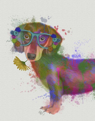 Dachshund And Glasses Rainbow Splash Black Ornate Wood Framed Art Print with Double Matting by Fab Funky