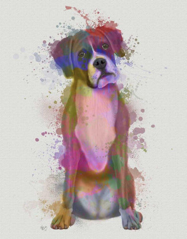 Boxer 1 Full Rainbow Splash Black Ornate Wood Framed Art Print with Double Matting by Fab Funky