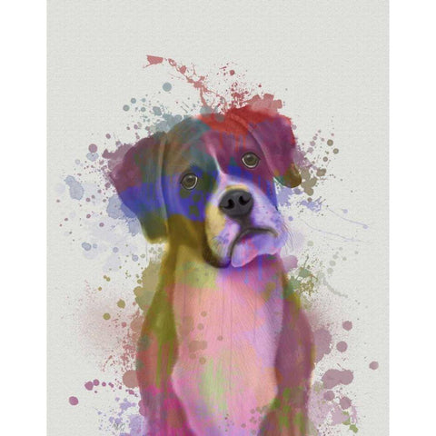 Boxer 1 Portrait Rainbow Splash White Modern Wood Framed Art Print by Fab Funky