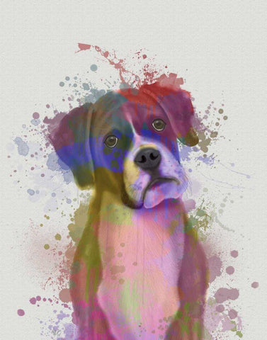 Boxer 1 Portrait Rainbow Splash White Modern Wood Framed Art Print with Double Matting by Fab Funky