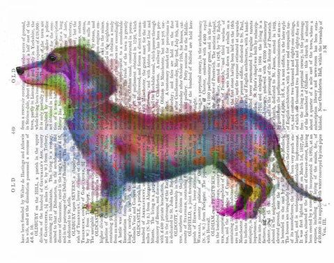 Dachshund Rainbow Splash 1 White Modern Wood Framed Art Print with Double Matting by Fab Funky