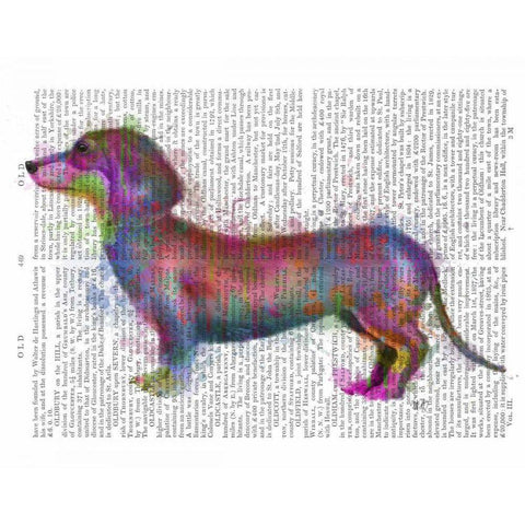 Dachshund Rainbow Splash 1 White Modern Wood Framed Art Print by Fab Funky