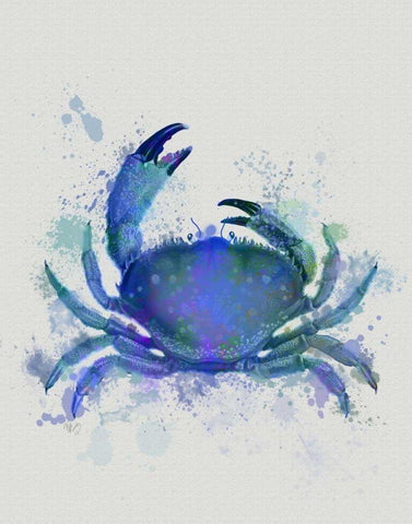 Crab 1 Blue Rainbow Splash White Modern Wood Framed Art Print with Double Matting by Fab Funky