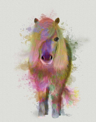 Pony 1 Full Rainbow Splash Black Ornate Wood Framed Art Print with Double Matting by Fab Funky