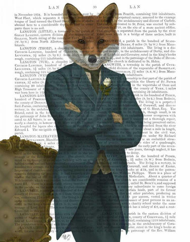 Fox Victorian Gentleman Portrait Black Ornate Wood Framed Art Print with Double Matting by Fab Funky