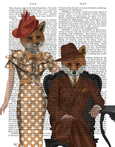 Fox Couple 1930s White Modern Wood Framed Art Print with Double Matting by Fab Funky