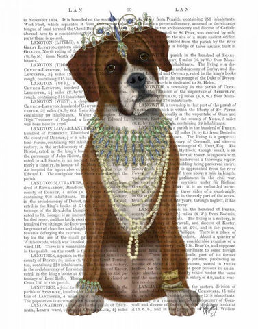 Boxer and Tiara, Full White Modern Wood Framed Art Print with Double Matting by Fab Funky