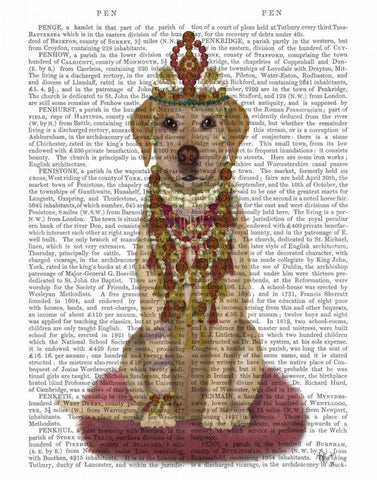 Yellow Labrador and Tiara, Full Black Ornate Wood Framed Art Print with Double Matting by Fab Funky